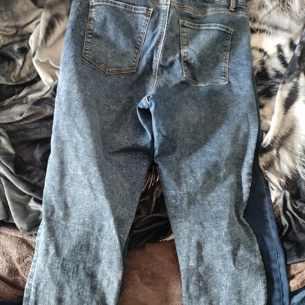 No boundaries size 17 for both pants